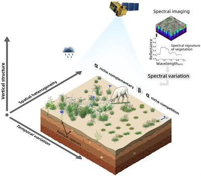 Diminishing influence of negative relationship between species richness and evenness on the modeling of grassland α-diversity metrics